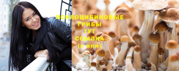 бутират Абаза